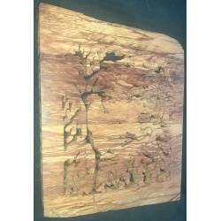 Femme Nature dans Châtaignier greffé