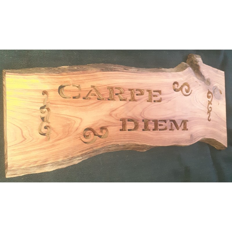 Carpe Diem dans du Cyprès