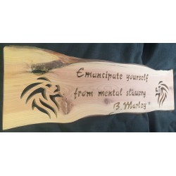 "Emancipate yourself" B.Marley