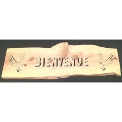 Bienvenue avec deux aigles