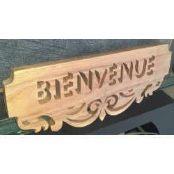 Bienvenue police 3D