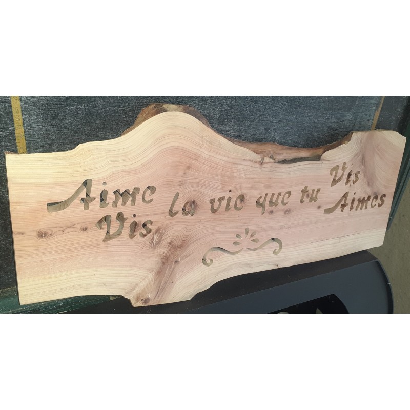 Aime/Vis la vie que tu aimes/vis